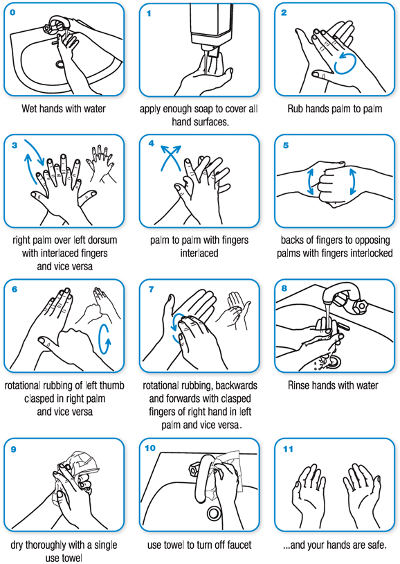 How to Wash Hands Properly